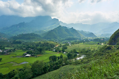 Scenic view of agricultural field against sky