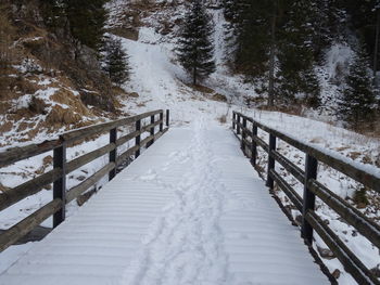 Snow covered footbridge by trees during winter