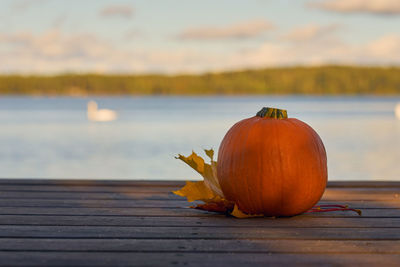 Pumpkin and autumn leaves on wooden boards with lake on the background.