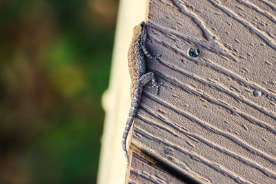 Close-up of open book on bench