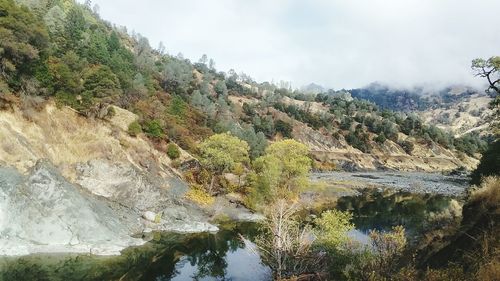 Scenic view of river in forest against sky