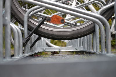 Close-up of bird on metal