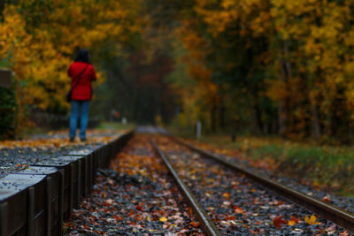 Rear view of person on railroad track during autumn