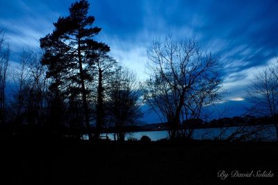 Silhouette trees on landscape against sky