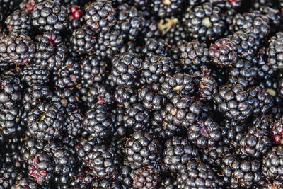 Close up blackberries on market stall in bulk