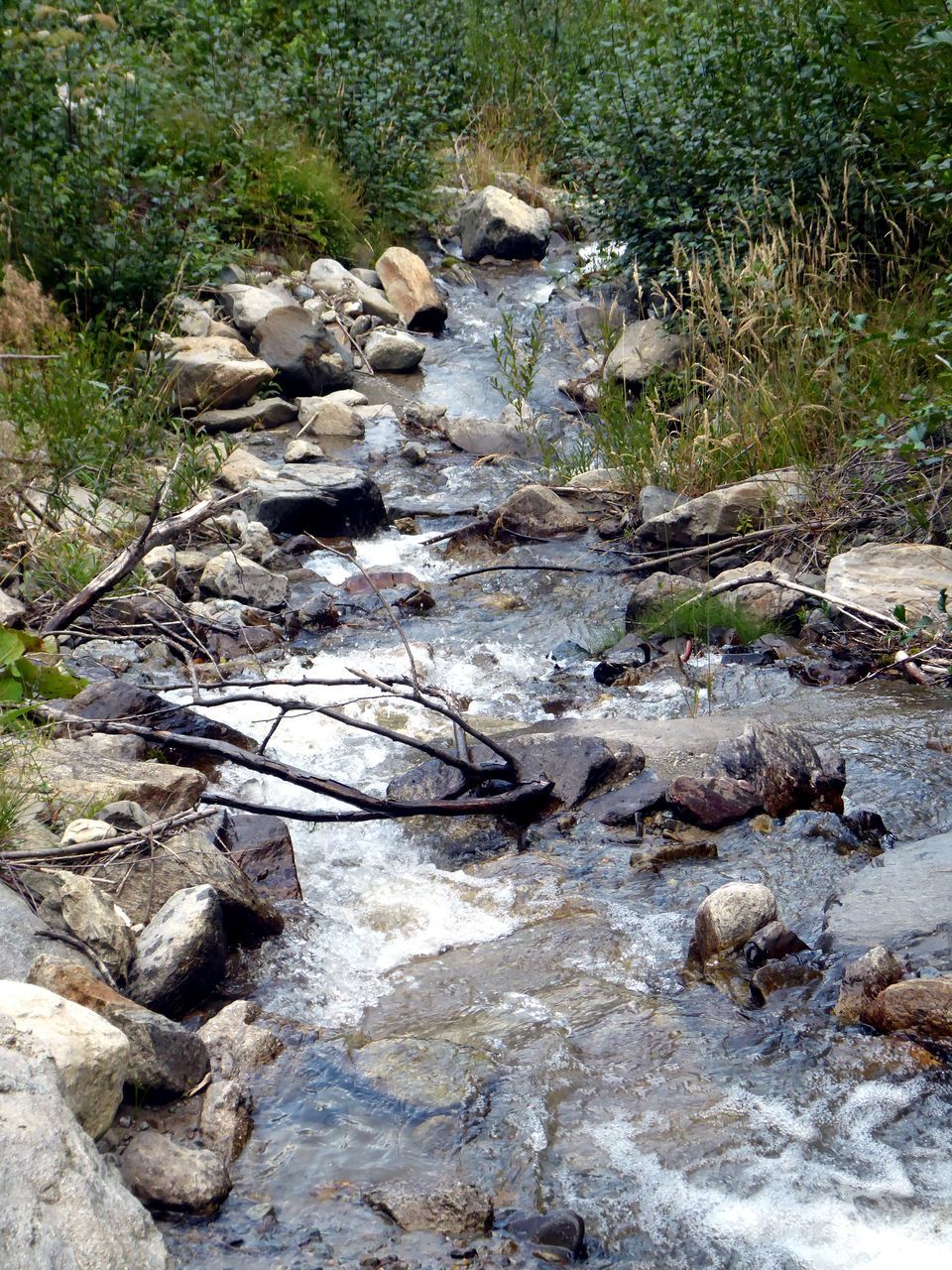 STREAM FLOWING THROUGH ROCKS