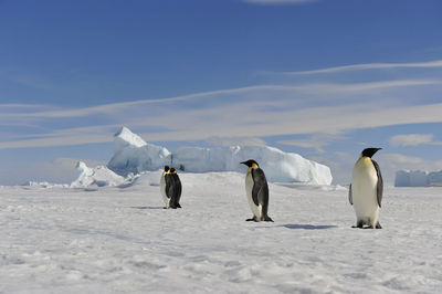 People on snow covered mountain against sky