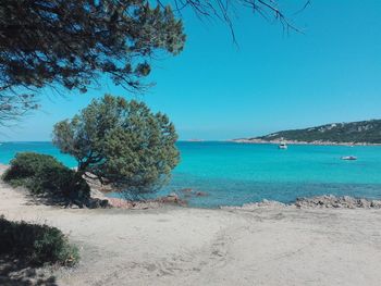 Scenic view of calm sea against clear sky