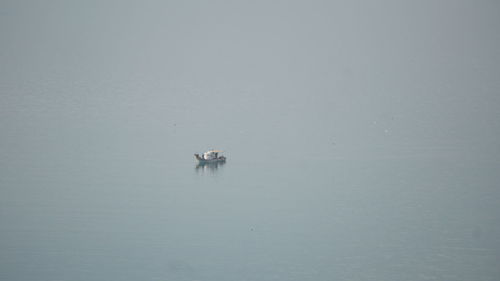 Boat sailing in sea against sky