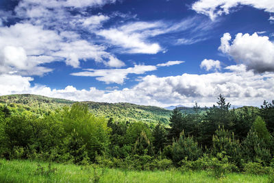 Scenic view of field against cloudy sky