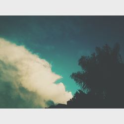 Low angle view of trees against sky