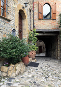 Potted plants against old building