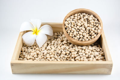 Close-up of fresh white flowers in bowl