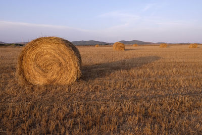 Hay bales on field against sky