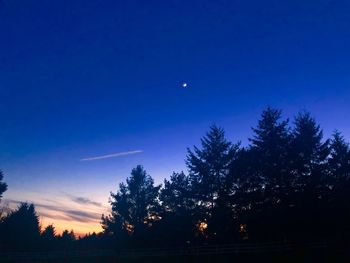 Silhouette trees against sky at night