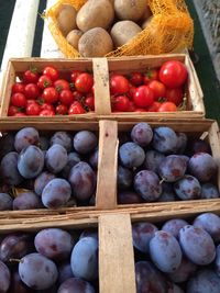 High angle view of fruits in basket