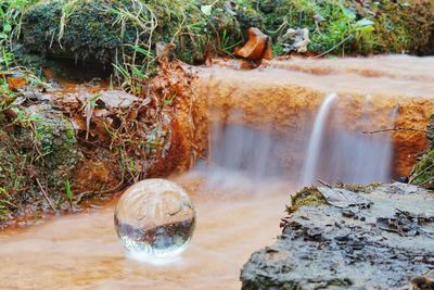 Scenic view of waterfall