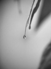 Close-up of water drops on metal