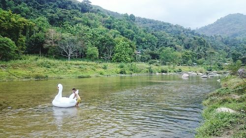 Swans swimming in lake against sky