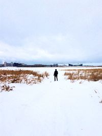 Person walking on snow covered land