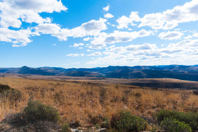 Scenic view of landscape against sky