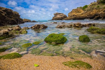 Scenic view of sea against sky