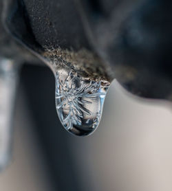 Close-up of icicle on railing