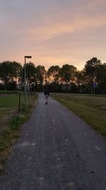 Road passing through forest