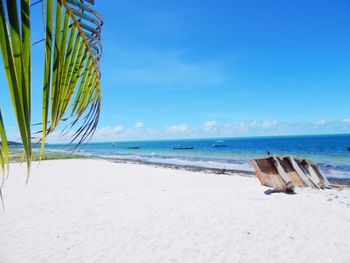 Scenic view of beach against blue sky