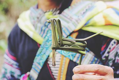 Close-up of man holding leaf