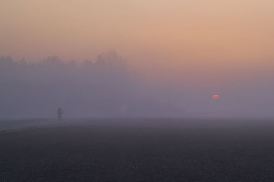 Silhouette trees on field against sky during sunset