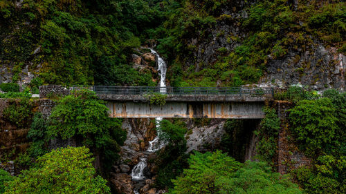 Arch bridge over river in forest