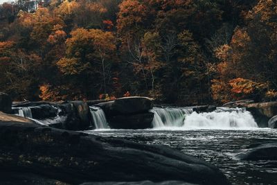 Scenic view of waterfall in forest during autumn