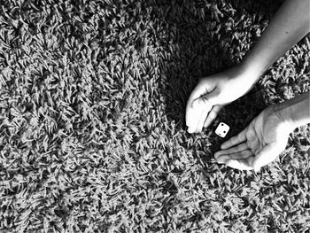 Cropped hands playing with dice on carpet at home