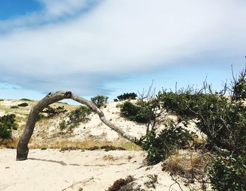 Scenic view of landscape against cloudy sky