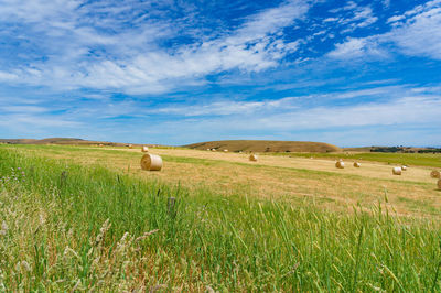 Scenic view of farm against sky