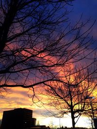 Low angle view of bare trees against sky at sunset