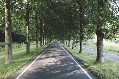 Empty road amidst trees
