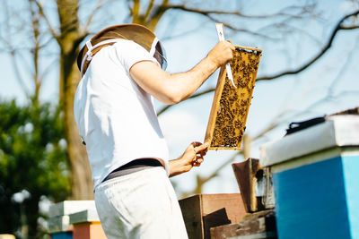 Beekeeper inspects beehive