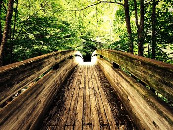 Railroad track in forest