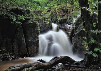 Scenic view of waterfall in forest