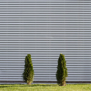 Trees on field against patterned wall