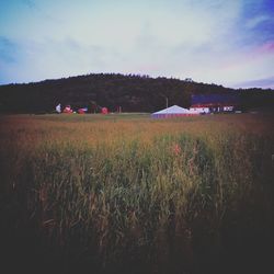 Scenic view of field against sky