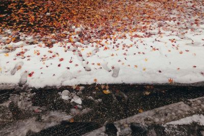 High angle view of snow covered land