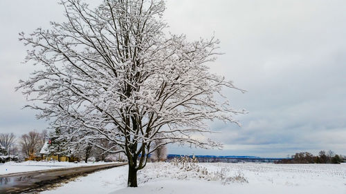 Scenic view of snow covered landscape