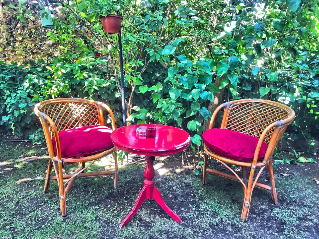 chair, absence, empty, plant, vibrant color, green color, outdoors, lawn, formal garden, tranquility, red, tourism, tranquil scene