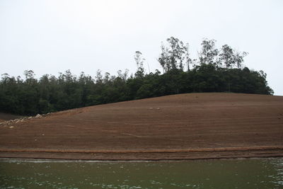 Trees on field against clear sky