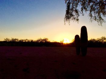 Silhouette of trees on field at sunset