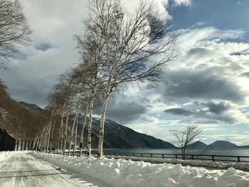 Snow covered plants by trees against sky