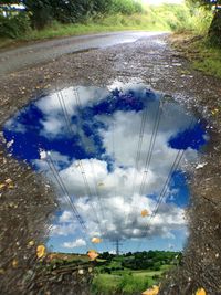Close-up of plants against blue sky